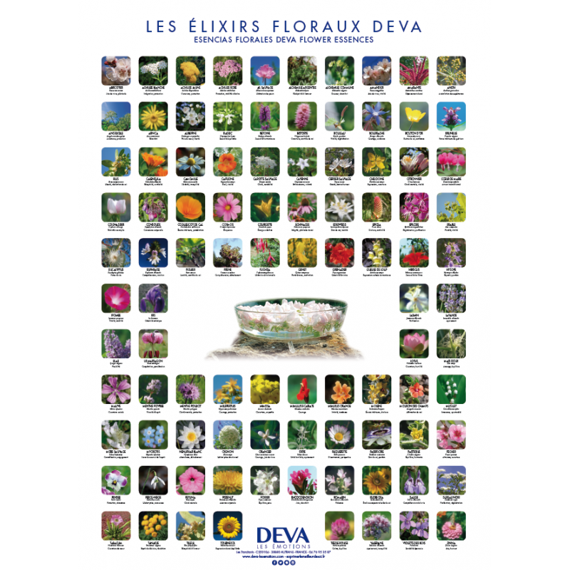 D-Poster des 96 élixirs floraux Deva 