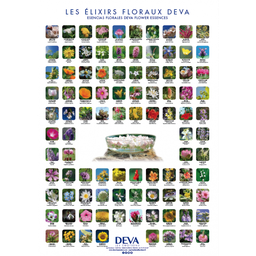 [DPOSTER] D-Poster des 96 élixirs floraux Deva 