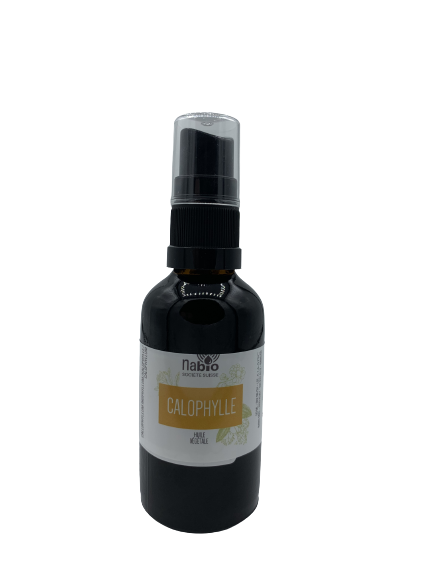 Huile végétale Calophyllum inophyllum BIO 50ml