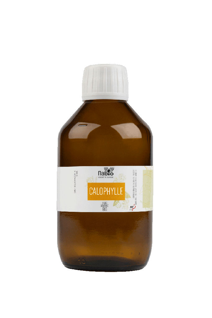 Huile végétale Calophyllum inophyllum BIO 250ml