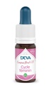 [DCYCLFEM15] DEVA Composé floral BIO, n°17 CYCLE FEMININ 15ml