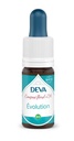 [DEVOL15] DEVA Composé floral BIO, n°14 EVOLUTION 15ml