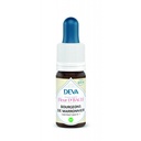 [07DBBOUR15] 07 Elixir floral Dr BACH de DEVA BIO, Bourgeons de marronnier/Chestnut bud 15ml