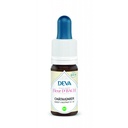 [30DBCHAT15] 30 Elixir floral Dr BACH de DEVA BIO, Châtaignier/Sweet chestnut 15ml