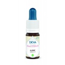 [13DBAJON15] 13 Elixir floral Dr BACH de DEVA BIO, Ajonc/Gorse 15ml