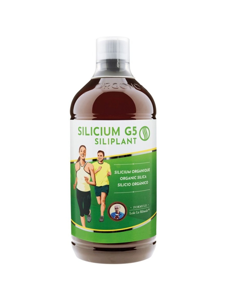 Silicium GS Siliplant 1000ml