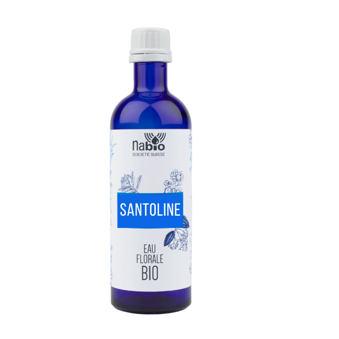 Eau florale Santoline BIO (Santolina chamaecyparissus) 200ml