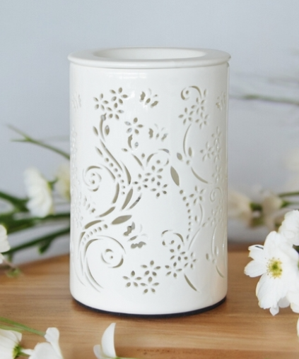 Diffuseur par chaleur douce CALORYA n°1