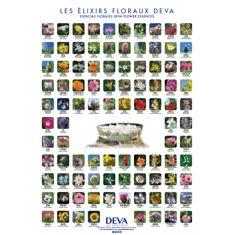 DEVA Poster des 96 élixirs floraux Deva