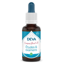[DETUD30] DEVA Composé floral BIO, n°08 ETUDES ET EXAMENS 30ml