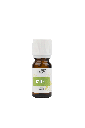 [HECAJE10] HE Cajeput BIO (melaleuca cajeputii) 10ml