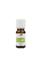 [HECEDRATL10] HE Cèdre atlas BIO (cedrus atlantica) 10ml