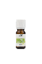 [HETHYMSAT10] HE Thym satureioïde à bornéol BIO (thymus sat. born.) 10ml