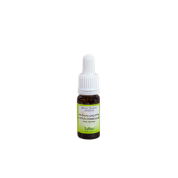 [DAALFA10] Elixir floral ANDIN, Alfafa chilota/Lotus corniculé 10ml