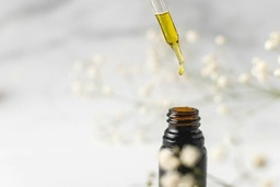 [FORMAND] Formation Sylfos Elixirs Andins 24 & 25 mai 2025