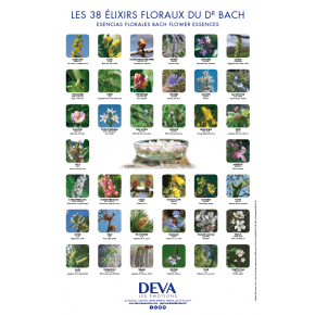 [DPOSTER-B] D-Poster des 38 élixirs floraux BACH