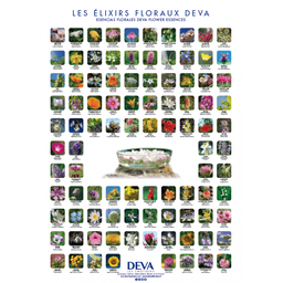 [DPOSTER] DEVA Poster des 96 élixirs floraux Deva