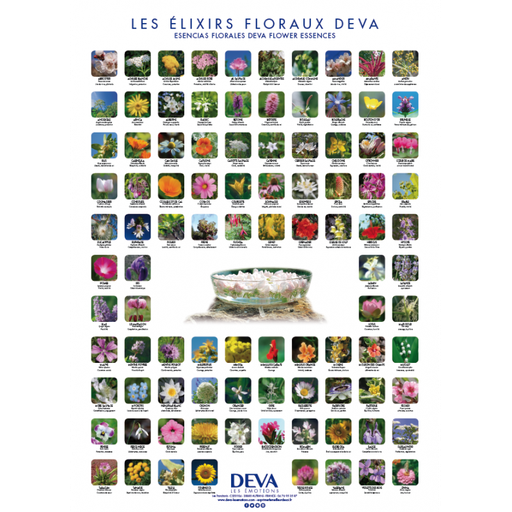 [DPOSTER] DEVA Poster des 96 élixirs floraux Deva