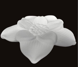 [FLEUREC] Fleur Narcisse blanche pour diffuseur Zen'Arôme